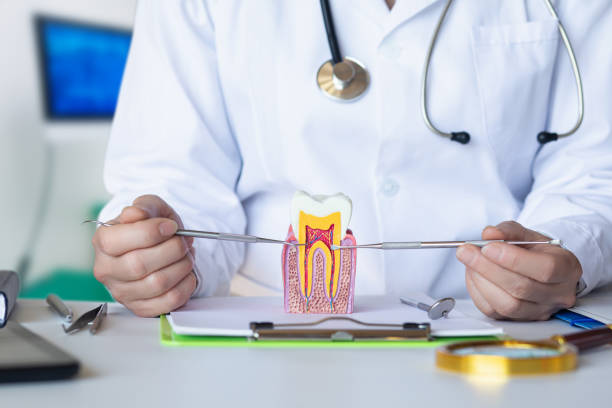 Best Root Canal Emergency Dentist  in Somerton, AZ